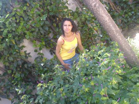 Ahlam
